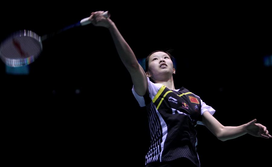 而不仅限于 而不仅限于