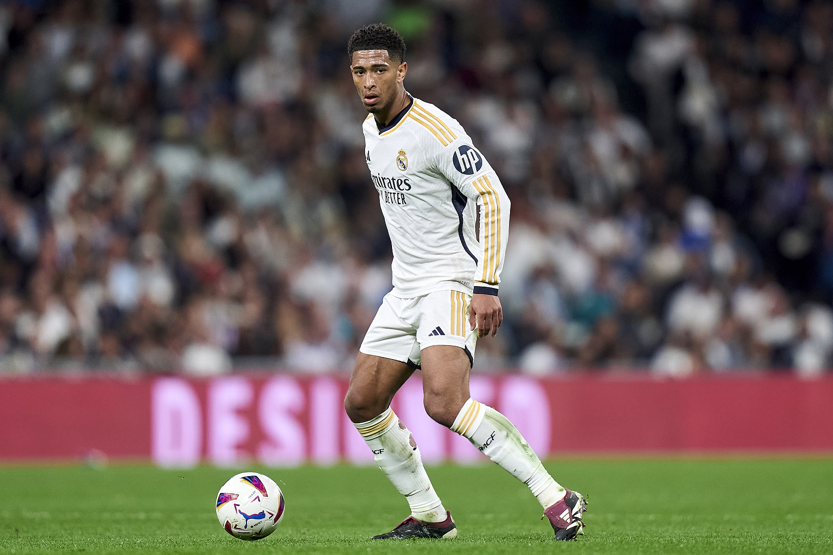 但德迪的推 但德迪的推